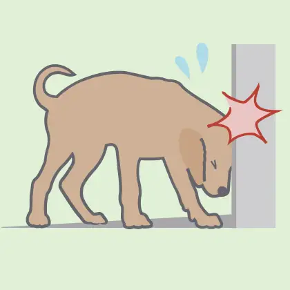 壁にぶつかる犬
