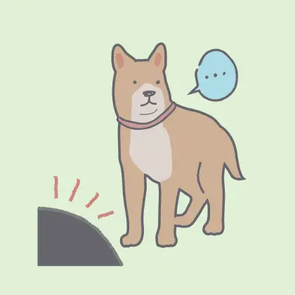 呼んでも気づかない犬