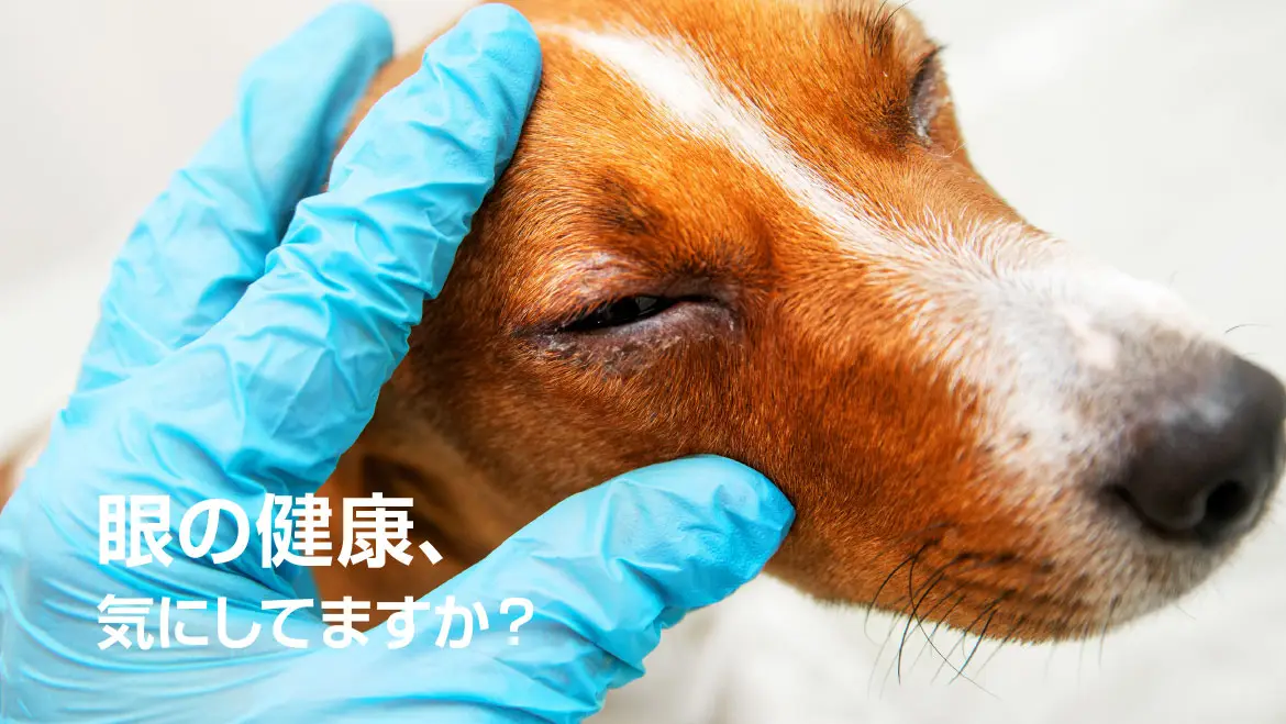 眼の健康、気にしてますか?