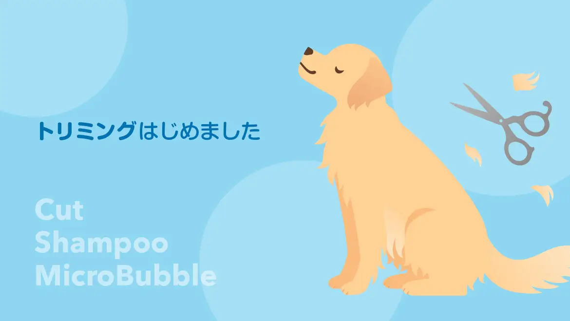 トリミングはじめました